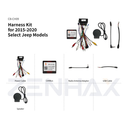 CB-CH09 matched wiring harness for KIT1-CH011